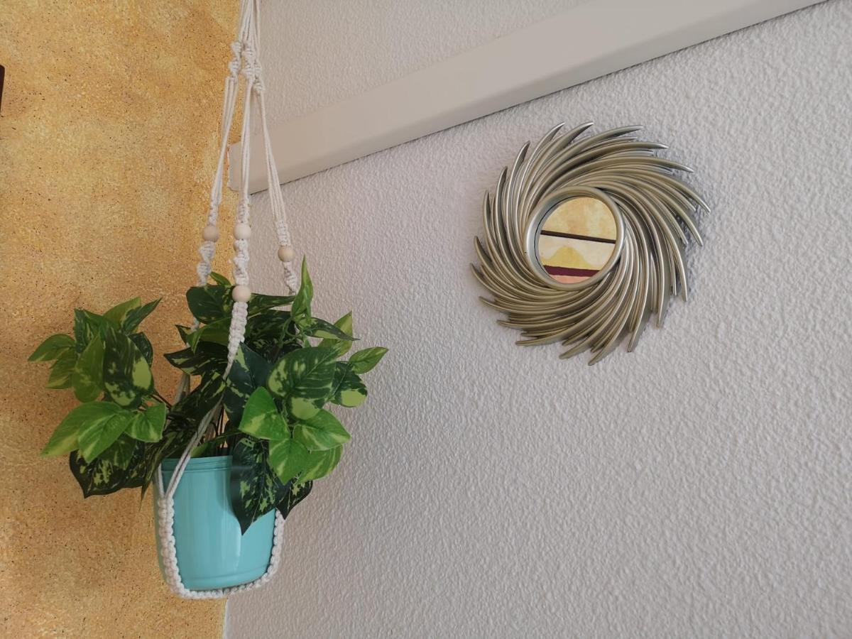 Apartamento Playa Benidorm Eksteriør billede